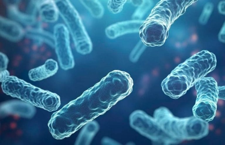 تسجيل حالتي وفاة.. وزارة الصحة ترصد بؤرتين عائليتين لـ “الدفتيريا” بسوس ماسة