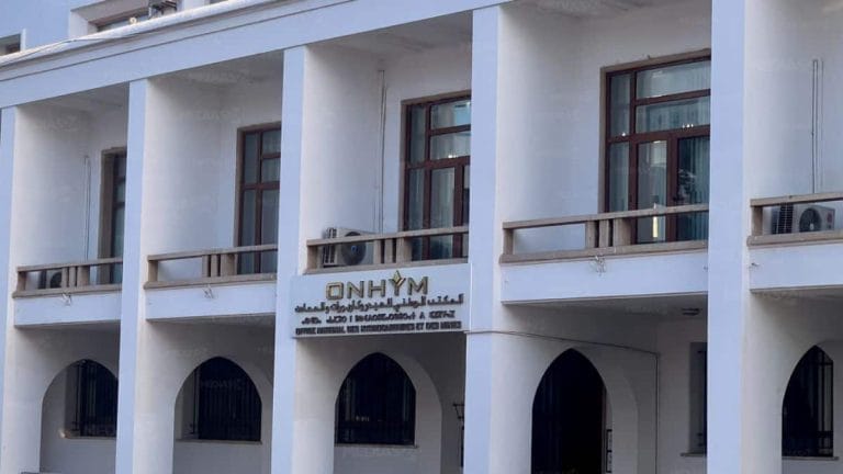 بعد ONHYM.. مؤسسات عمومية تستعد للتحول إلى شركات مساهمة في عهد حكومة المنصوري